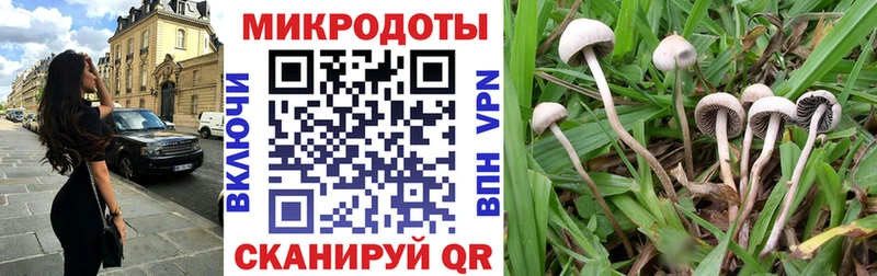 наркотики  Ипатово  Галлюциногенные грибы мухоморы 